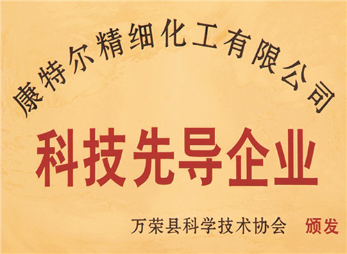 科技先導(dǎo)企業(yè)