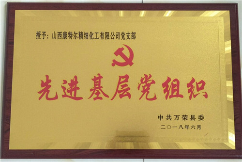 先進基層黨組織