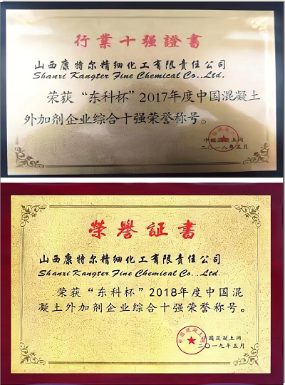 行業(yè)十強認定證書